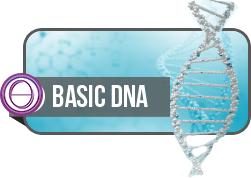 thetahealing-basic-dna